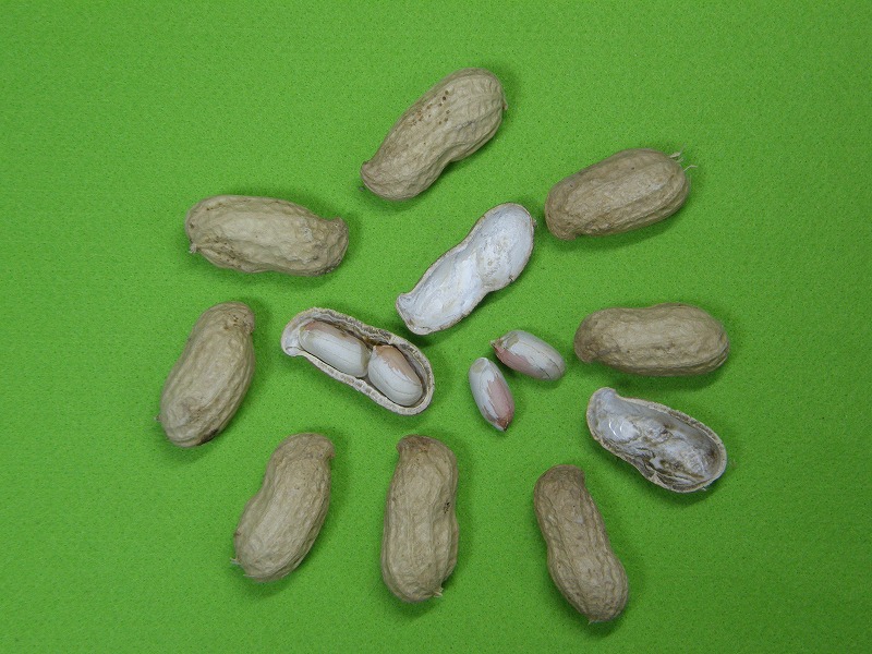 美の道（育成No.3)